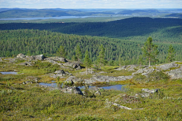 istock Landscape in Lapland Finland, lakes, trees and forest. 1220778325