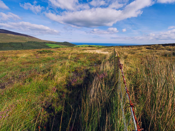 istock Scenic View Of Field Against Sky 1220780121