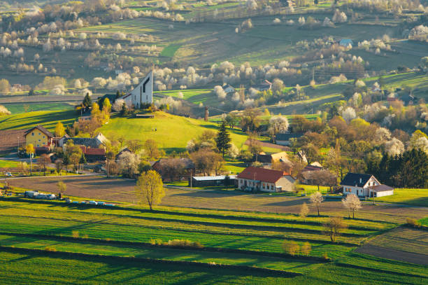 istock Spring in Slovakia. Meadows and fields landscape near Hrinova. Spring colored cherry trees at sunset 1220782176