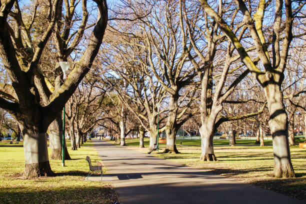 istock Carlton Gardens in Melbourne Australia 1220784786