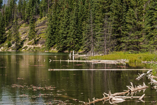 istock Two Jack Lake, Banff National Park, Alberta, Canada 1220784886
