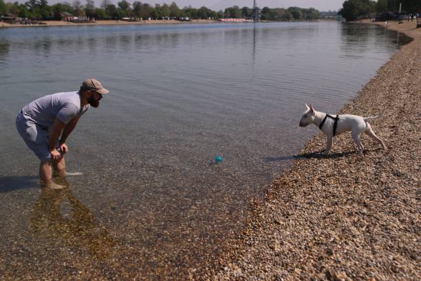 istock Man walking with a dog near the river 1220785025