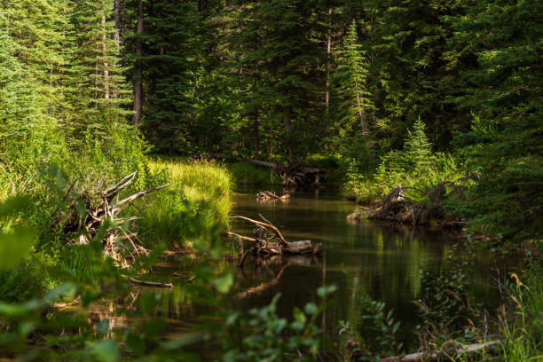istock Two Jack Lake, Banff National Park, Alberta, Canada 1220785926