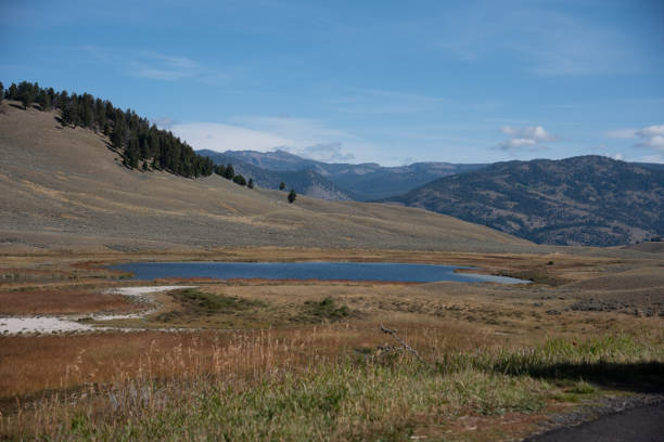istock Yellowstone National Park 1220786702