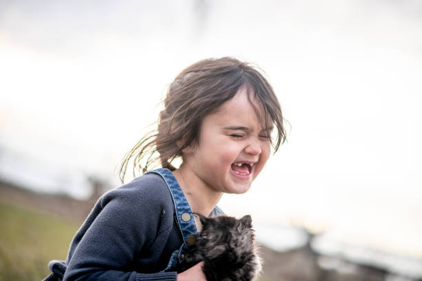A 10-year-old Asian girl plays with cats in a pet cafe and feeds kittens with food from a feeder. Playing with pets can relieve stress and also help learn how to take care of small animals. Learning to take care of a pet can make children more careful and develop a sense of responsibility