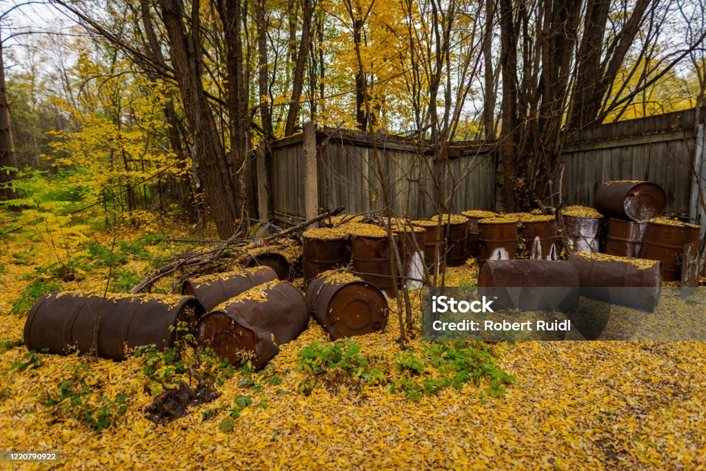 A pile of rusty old oil barrels lying around between yellow autumn leaves in the military DUGA radar base near Pripyat, Chernobyl Exclusion Zone Abandoned Stock Photo