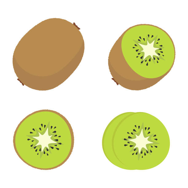 illustrazioni stock, clip art, cartoni animati e icone di tendenza di kiwi fruit icon set vector design. - kiwi
