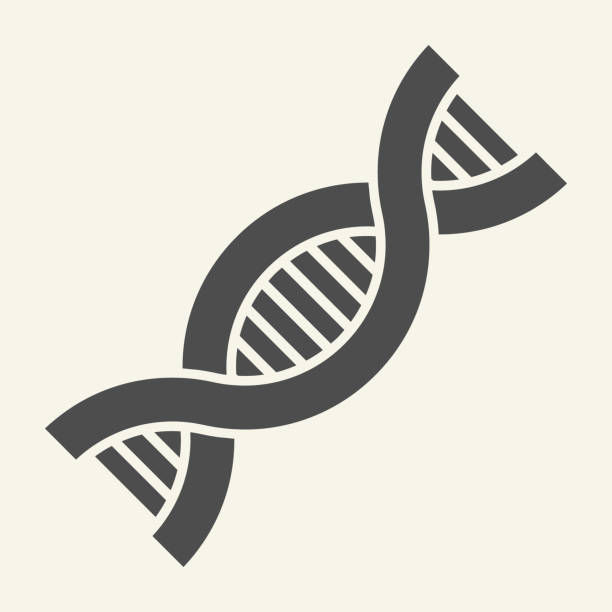 DNA solid icon. DNK molecule glyph style pictogram on white background. Genetic symbol chromosome for mobile concept and web design. Vector graphics. DNA solid icon. DNK molecule glyph style pictogram on white background. Genetic symbol chromosome for mobile concept and web design. Vector graphics biotechnology illustrations stock illustrations