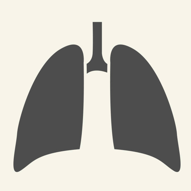 ilustrações, clipart, desenhos animados e ícones de ícone sólido dos pulmões. pictograma de glifo de órgão interno humano em fundo branco. saúde pulmonar respiratória para conceito móvel e web design. gráficos vetoriais. - árvore brônquica