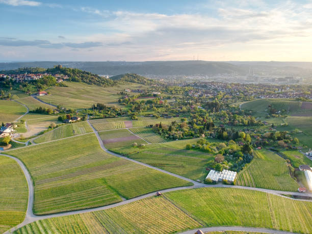 istock Aerial View of Stuttgart and vineyard 1220794313