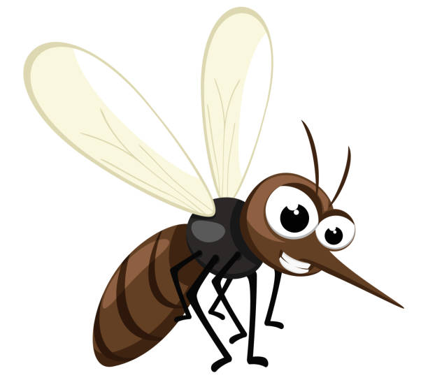 ilustraciones, imágenes clip art, dibujos animados e iconos de stock de insecto mosquito vuela y sonríe sobre un blanco. carácter - mosquito malaria parasite biting insect
