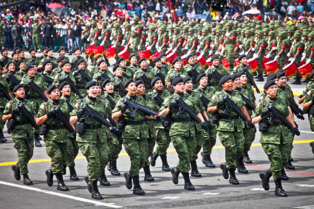 A female military contingent marches during the Independence Day parade in Mexico City Mexico City, Mexico, September 16 -- A contingent of female soldiers during the parade of the Mexican armed forces in the Zocalo (Central Square) and some main streets of the historic center of Mexico City on the occasion of the Independence Day solemnly celebrated across the country. tank musician stock pictures, royalty-free photos & images