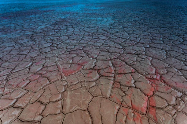 istock Dry and cracked ground land 1220800439