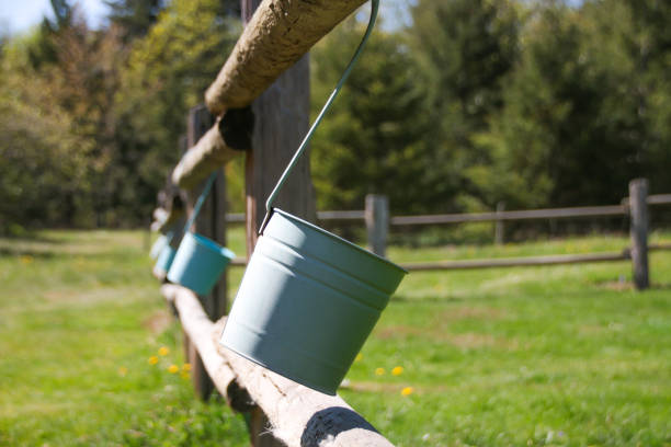 Small Empty Flower Pots on Abandoned Farm