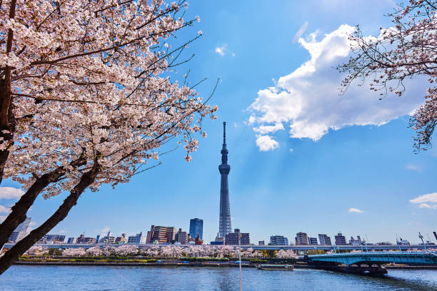 istock Tokyo Sky Tree and Cityscape, Tokyo, Japan 1220801687