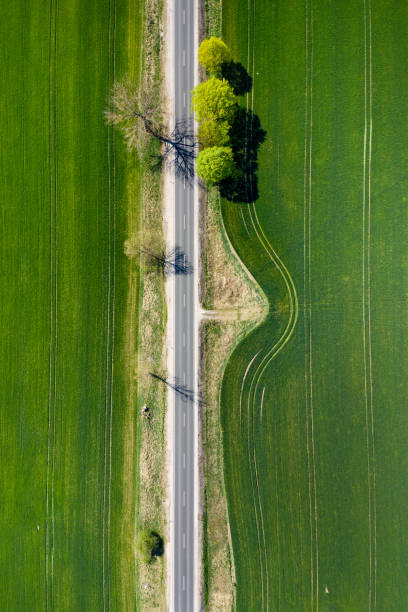 istock An Aerial Road Trip - forest with curved road 1220804440