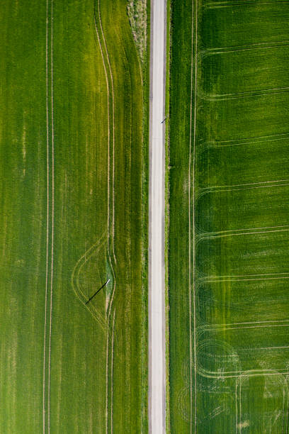 istock An Aerial Road Trip - forest with curved road 1220804480