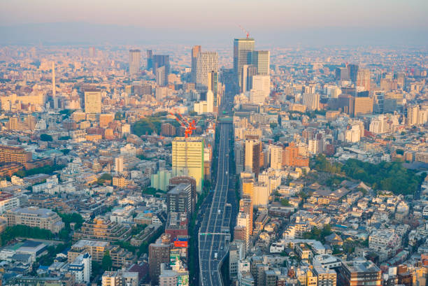 istock Tokyo cityscape at sunrise time 1220804941