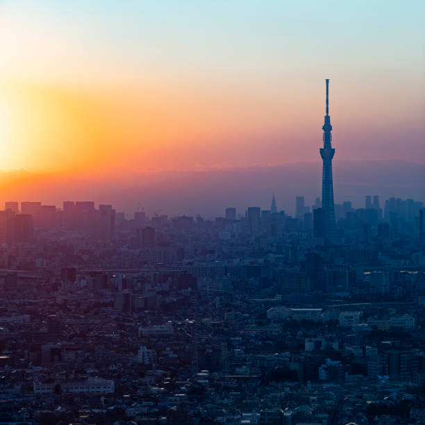 istock Tokyo Sky Tree in the evening 1220805490