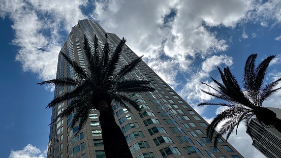 LOS ANGELES, CA, MAR 2020: looking up past palm trees at base of US Bank Tower towards clouds and blue sky
