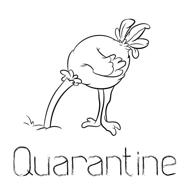 Quarantine allegorical caricature, with ostrich sticking it's head in the sand Grotesque meme vector illustration symbolizing mental health conservation, ostrich hiding it's head in the sand head in the sand stock illustrations