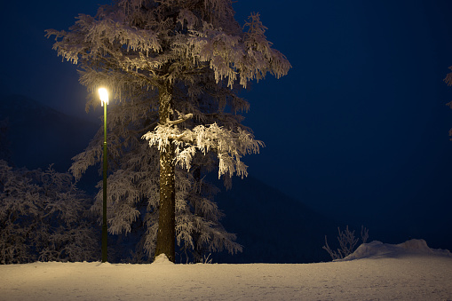 night winter landscape in the mountains of Slovakia, light of lanterns