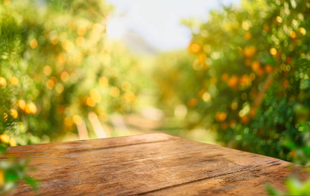 mesa de madera vacía con espacio libre sobre naranjos, fondo de campo de naranjo. para montaje de visualización de productos - green ground juice freshness fotografías e imágenes de stock