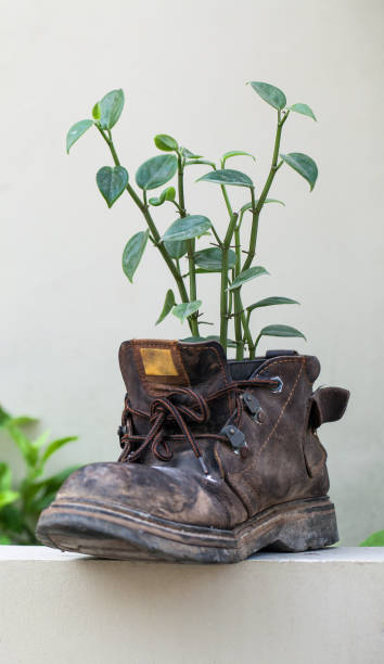 istock Vertical shot of an old boot with the plant 1220814713