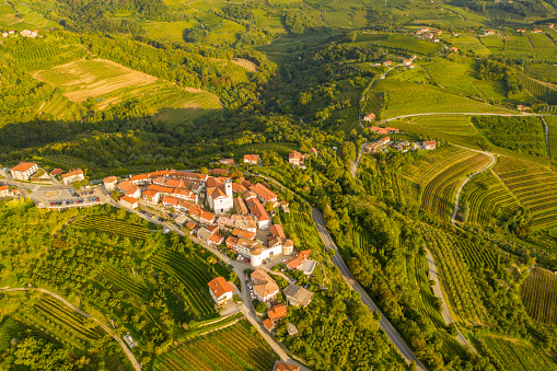 Aerial view of village in lush green mountain landscape,  Smartno village,  Goriska Brda,  Slovenia