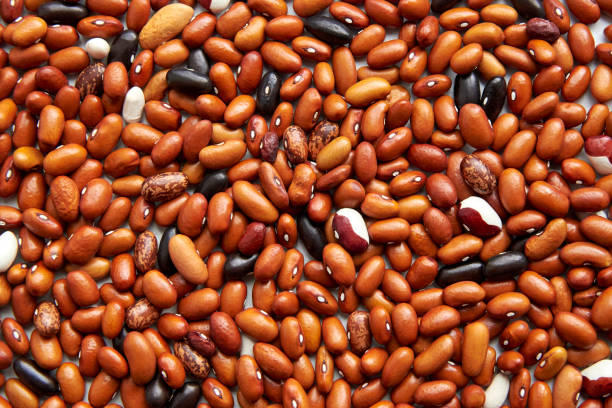 Background from different types of beans, brown, black, spotted beans, top view.