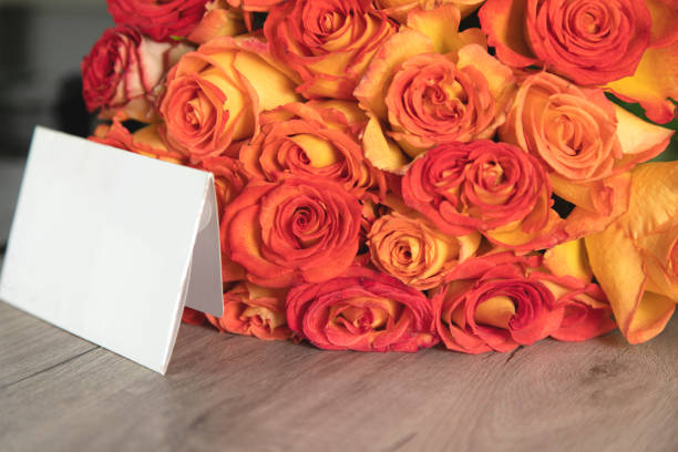 Ready to use horizontal greeting card for Valentines Day with rose bud, unfocused pink rose and white gypsophila bouquet at background and bokeh. Selective focus. Happy Valentines wish sign.