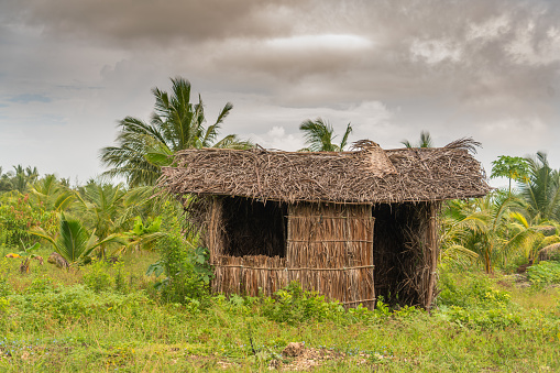 View of the exterior of a small grass hut and tropical palm trees in the background under a dramatic sky,  Zanzibar,  Tanzania