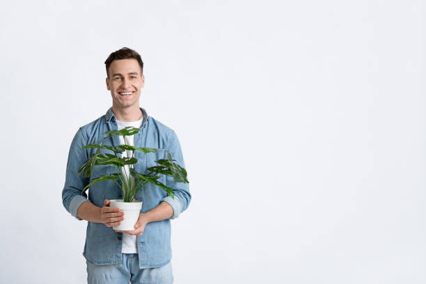 istock Smiling man holds large plant in pot 1220827496