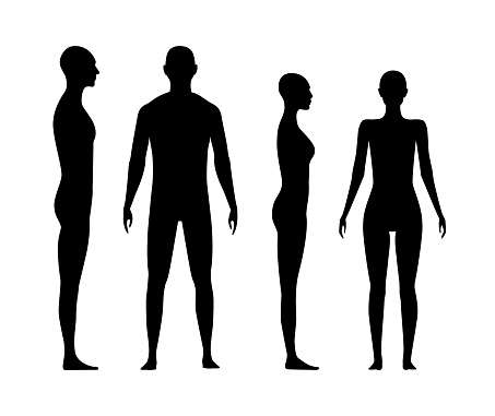 Front and side view human body silhouette of an adult man and a women.