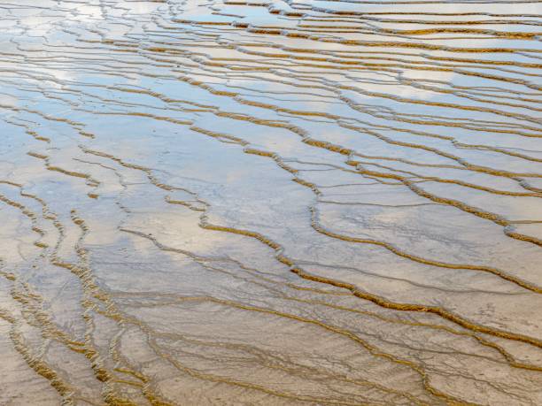 istock Geothermal Area - Yellowstone National Park 1220829283