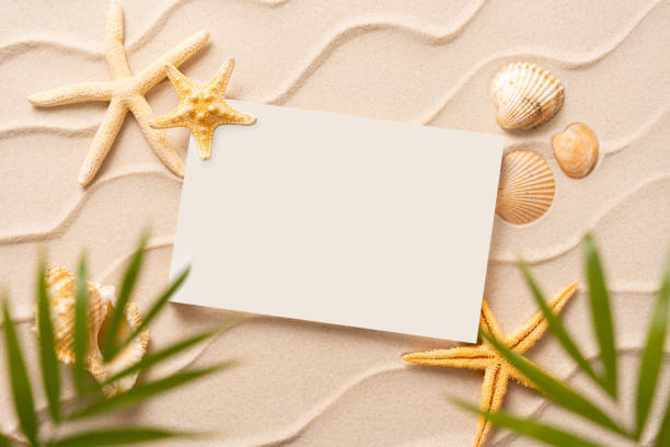 Summer Vacation Concept. Shells, Starfish on Clean Sand Beach Background