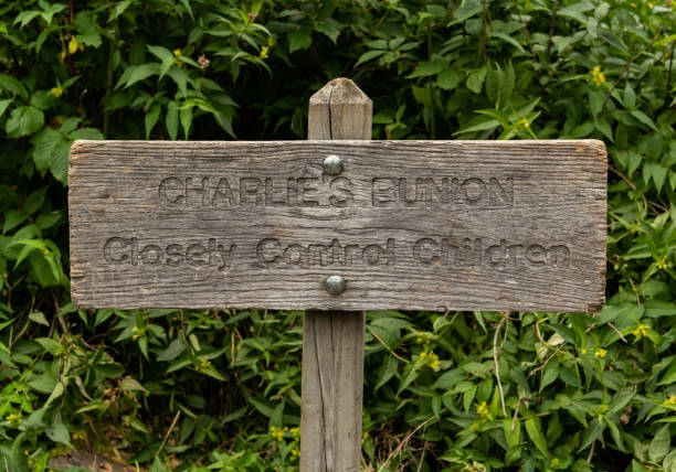 istock Sign to Charlies Bunion 1220834895