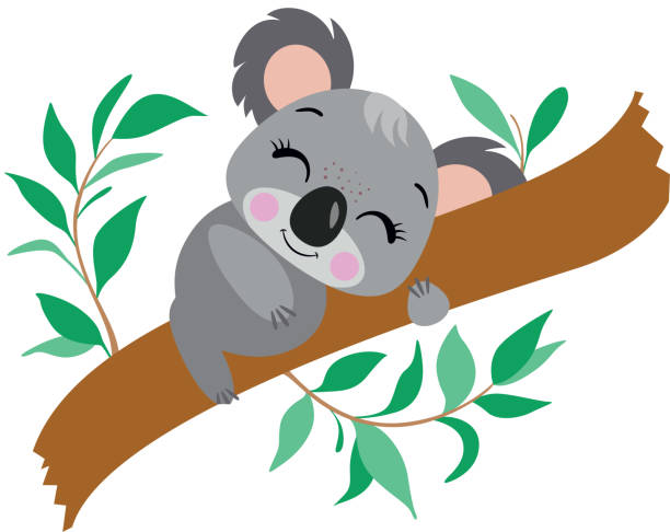 Little Koala Sleeping On Eucalyptus Branch Stock Illustration - Download  Image Now - Dreamlike, Koala, Animal - iStock