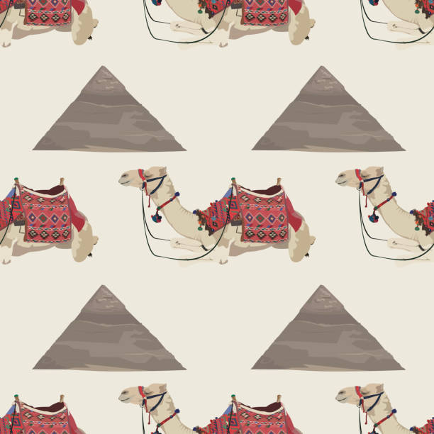 ilustrações de stock, clip art, desenhos animados e ícones de vector seamless pattern with arabian one-humped camel and egyptian pyramid - egypt pyramid cairo camel