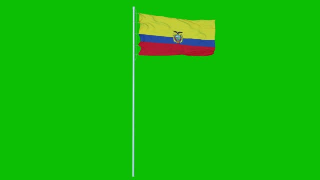427 Ecuador Flag Stock Videos and Royalty-Free Footage - iStock | Chile flag,  Colombia flag, Peru flag