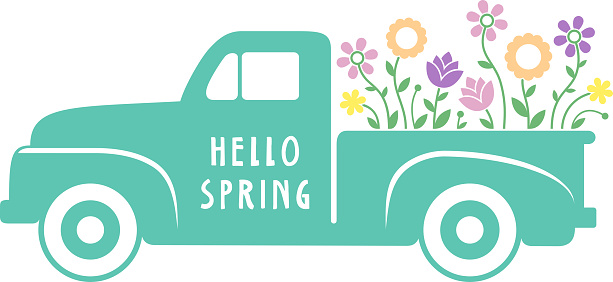Old fashioned, colorful vintage pick-up truck.  Spring time with flowers.