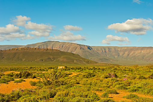 Landscape of Tankwa Karoo Veld and mountains , Northern Cape, South Africa