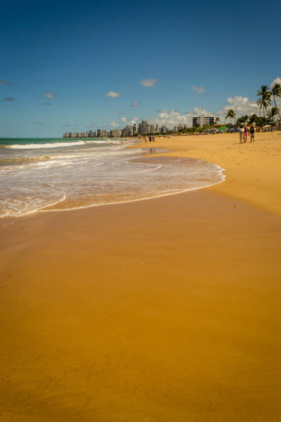 Recife is the capital of the state of Pernambuco, in northeastern Brazil.