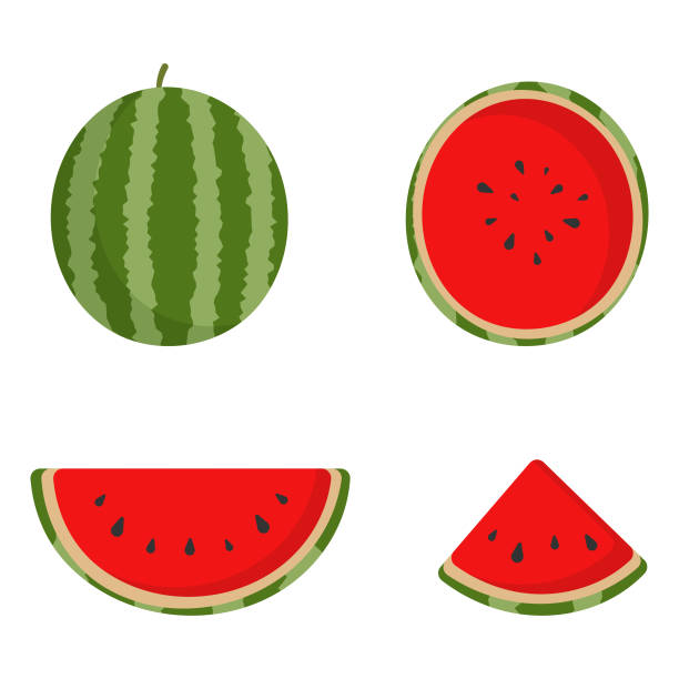 wassermelone cartoon icon set vektor-design. - cartoon watermelon stock-grafiken, -clipart, -cartoons und -symbole