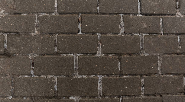 istock Gray paving stones on the square in the Park. 1220846304