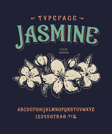 Font Jasmine. Vintage typeface design.