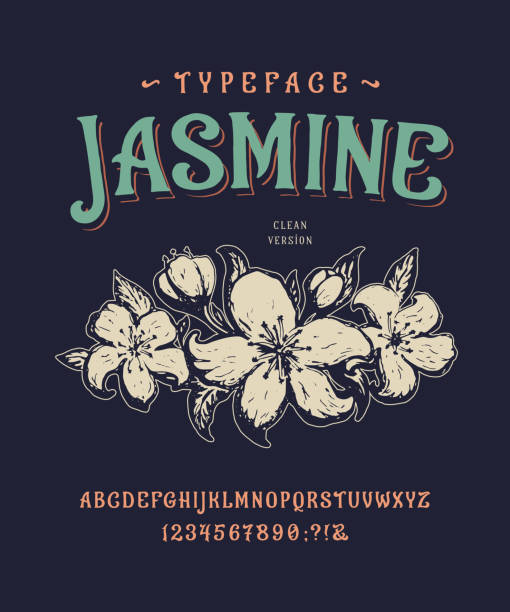 Font Jasmine. Vintage typeface design. Font Jasmine. Craft retro vintage typeface design. Graphic display alphabet. Historic style letters. Latin characters and numbers. Vector illustration. Old badge, label, logo template. tattoo fonts stock illustrations