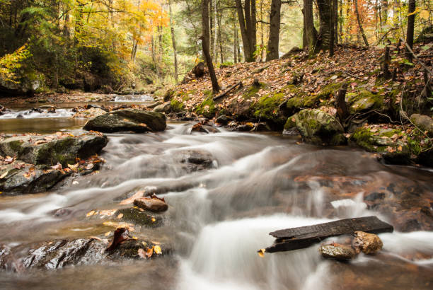istock Swiftly flowing creek surrounded by a forest of fall color 1220854731