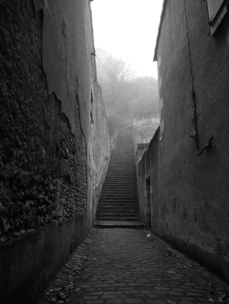 istock Poitiers in the mist 1220855858