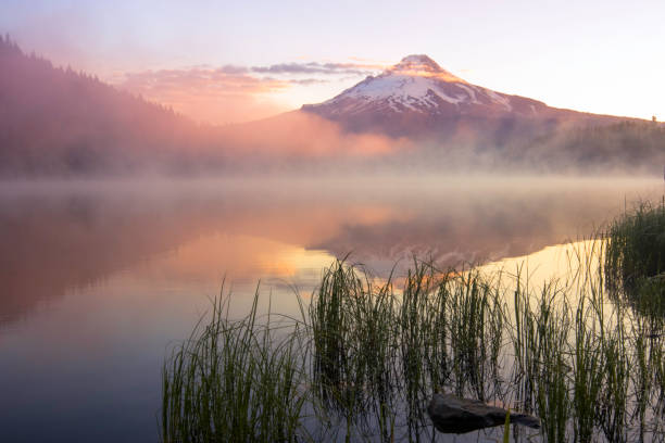 istock Trillium Lake and Mount Hood, Oregon 1220857497